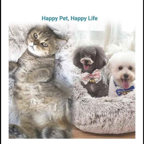 🐱🐶🐭🐹🐰🐸Pet Stuff🐱🐶🐭🐹🐰🐸 - Picture 7 of 14